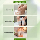 🌿 Ginger Herbal Foot Patch